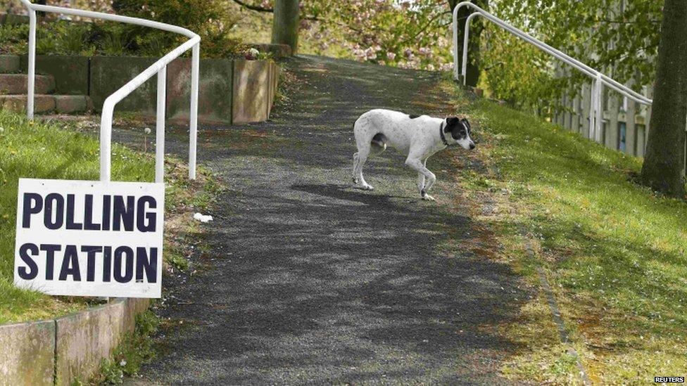 A dog waits outside a polling station in Sheffield