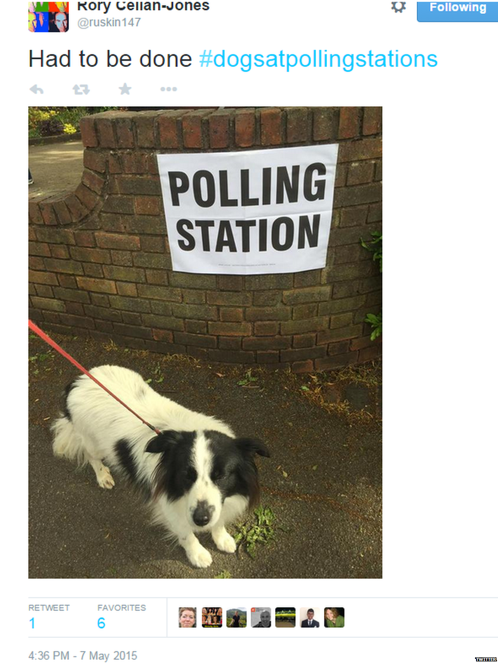 Dogs at polling stations