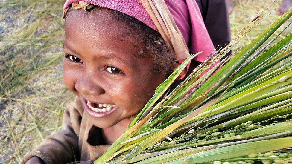 A young girl in a rice paddy, Antananarivo Madagascar - Friday 1 May 2015