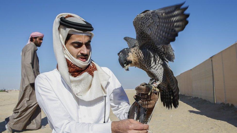 A Doha falconer and his bird