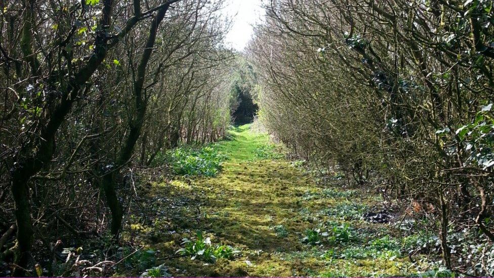 Alison Smith, from Wigan, Lancashire submitted her 12-year-old son Isaac's photo taken while walking around Maelog Lake in Rhosneigr, Anglesey