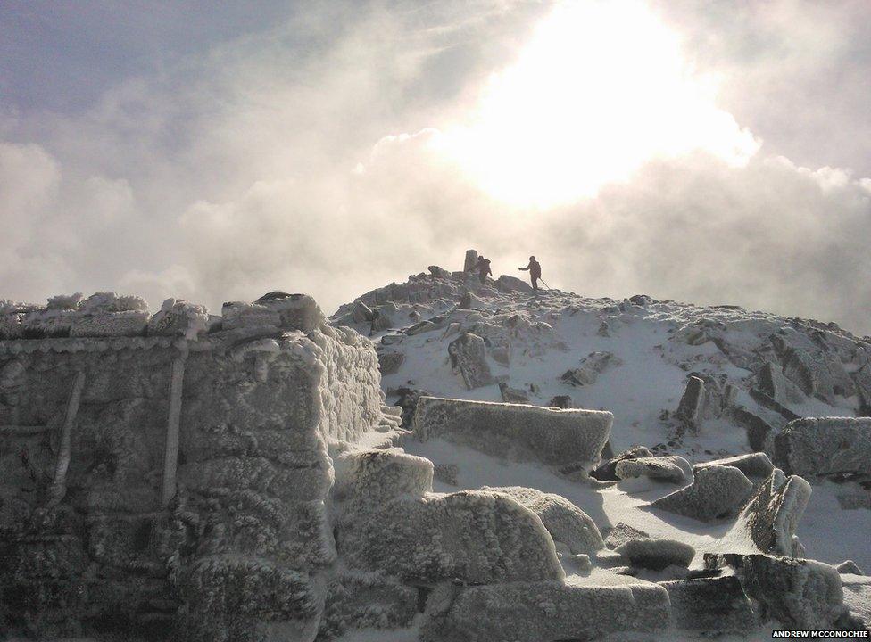 Cadair Andrew McConochie