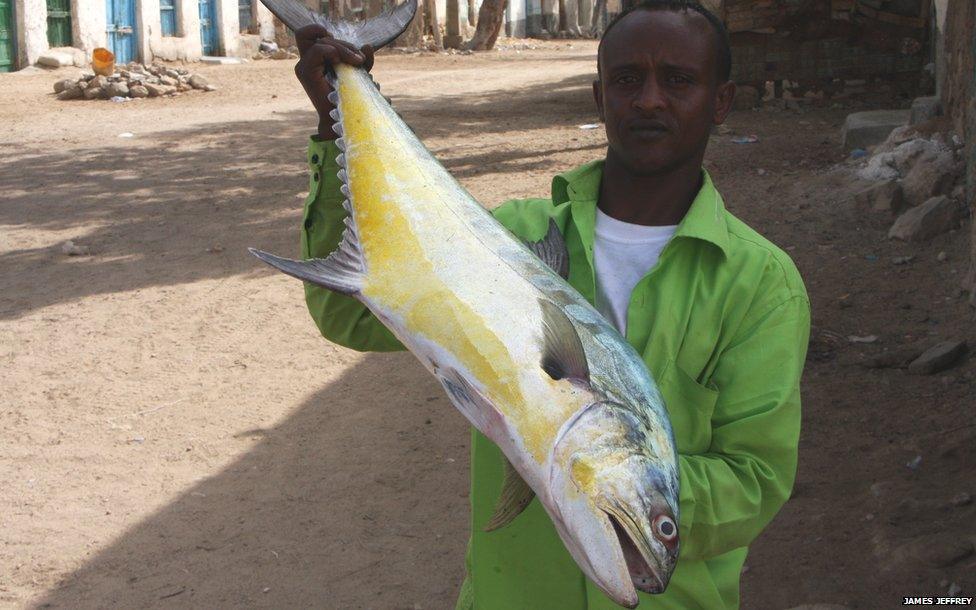 Fisherman holds a very big fish