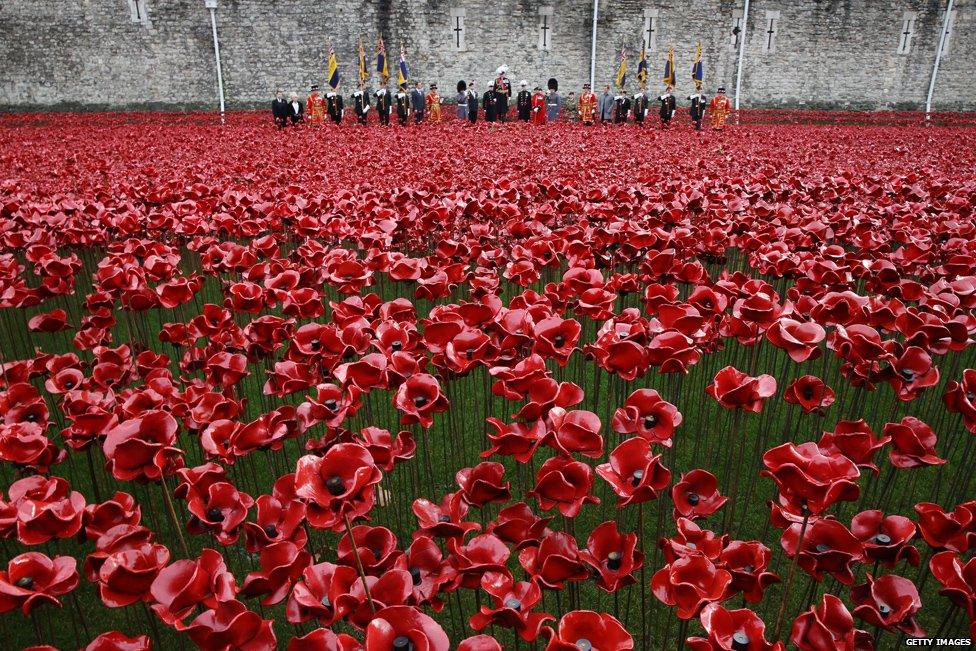 Field of Poppies at the Tower of London - WW1 anniversary