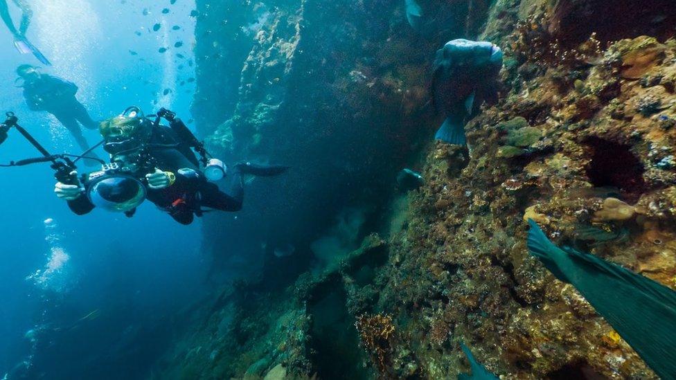 Swimming with fish off Bali