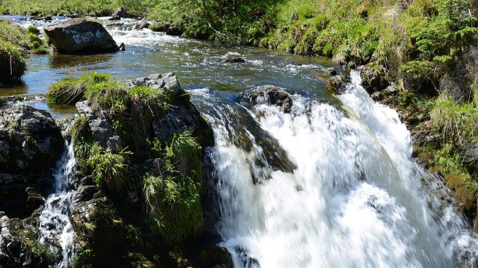 Water gushing at Severn-Break-its-Neckfall at Hafren Forest captured by Peter Bayliss, of Staylittle, Powys