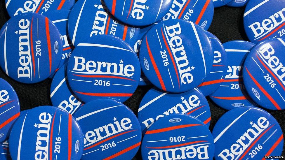 Bernie Sanders pins