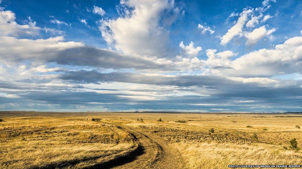 farm tracks in grasslands