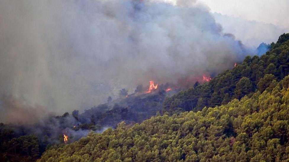 Orange fire and thick smoke is visible across thick forest on Spanish hills