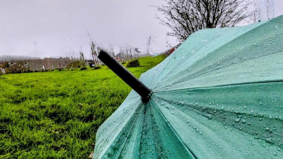A green umbrella with rain drops on it with grass and shrubs behind it