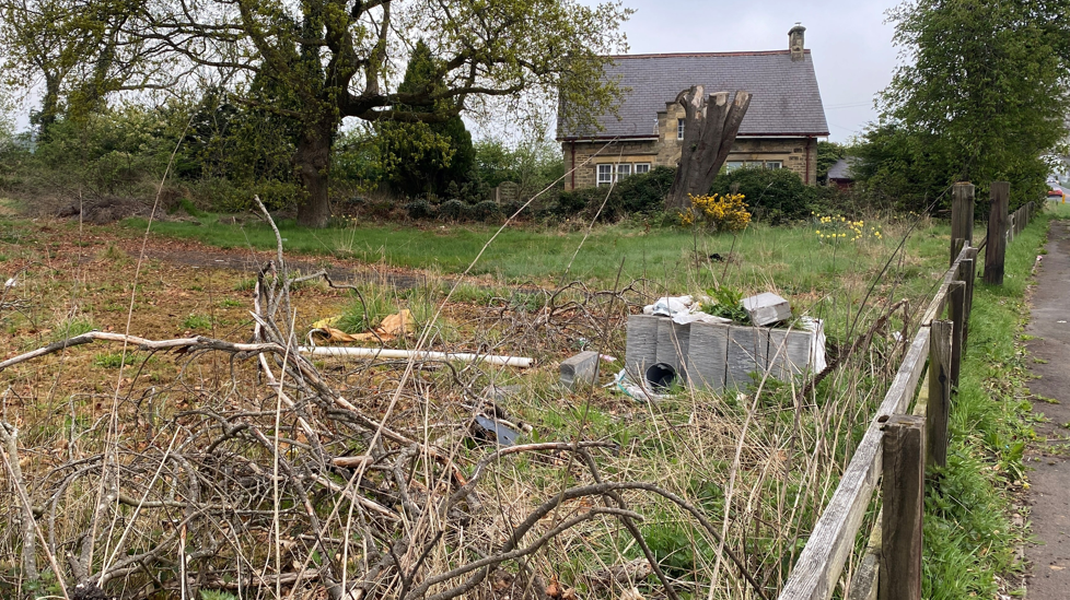 A recent picture of Northgate House which shows an overgrown garden and the house hidden behind bushes.