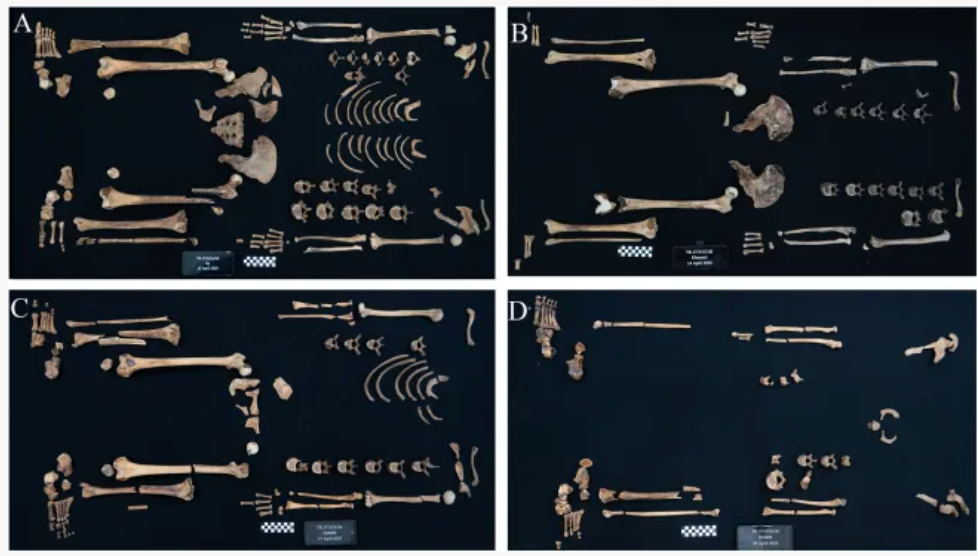 Layout of the princess' skeletons