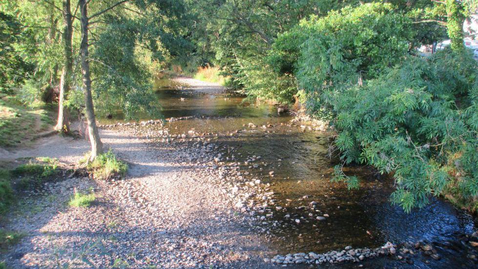 Afon Elwy