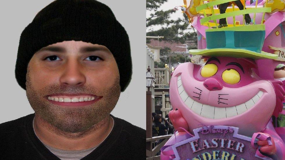 The e-fit and the Cheshire Cat