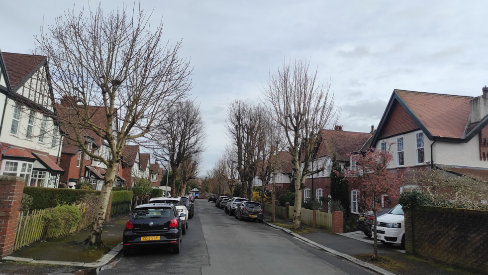 A street of semi-detached, red-brick houses. Lining the pavement are a number of light coloured leafless trees.