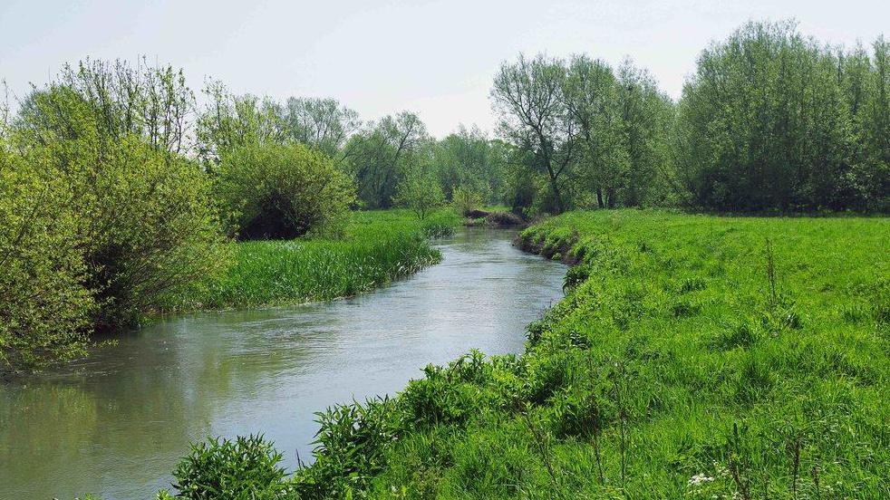 River Windrush, Witney