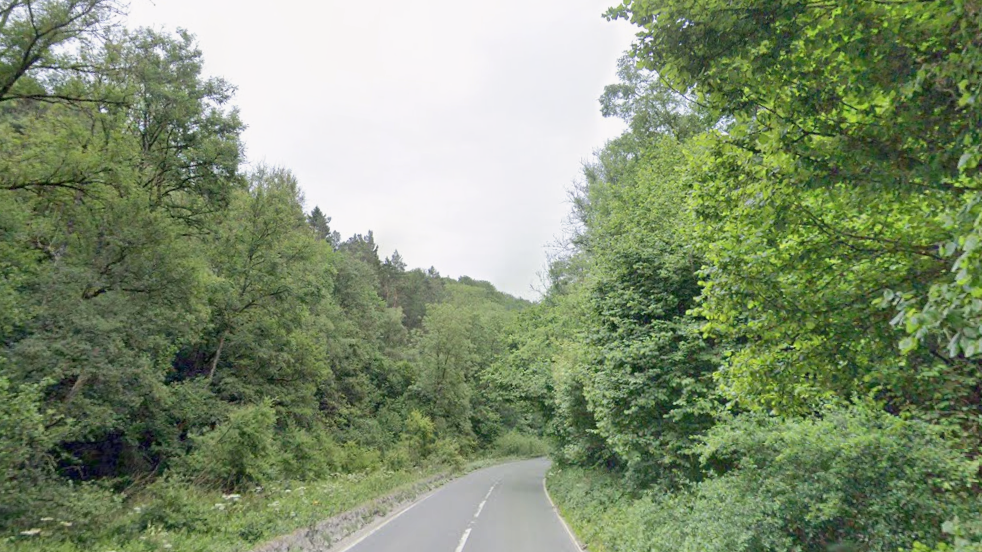 Trees either side of a road with a small wall to the left of the road
