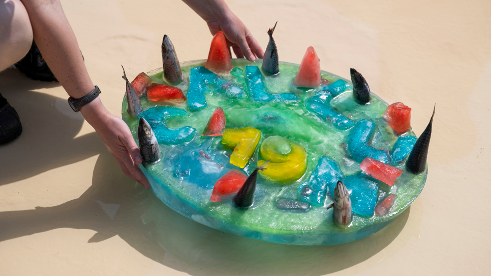 A large blue and green ice block made to look like a birthday cake, with the number 16 on top in the form of yellow ice blocks. Red pieces of fruit and halves of fish stick out of the cake. A keeper's hands hold the block which is on the floor.