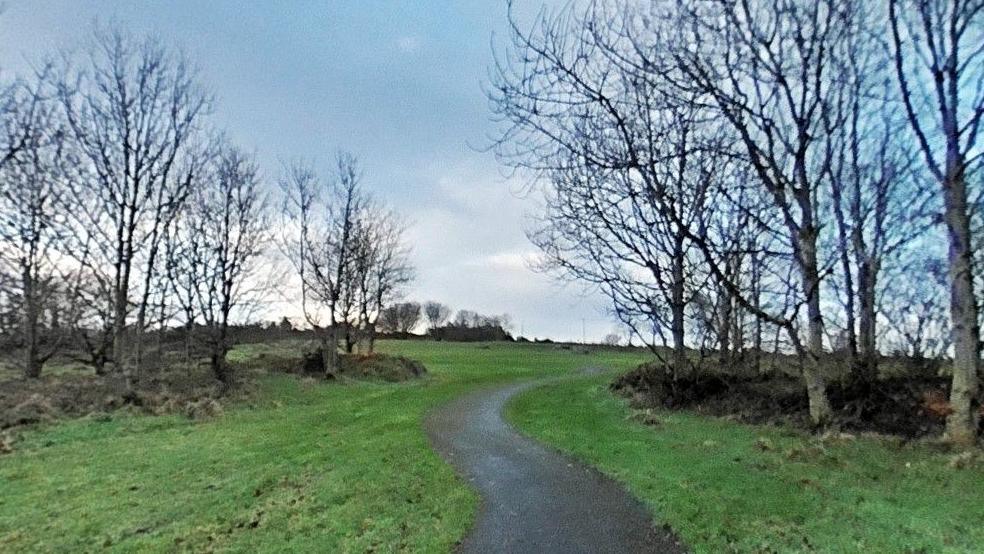 Top of the Hill Park in Derry with a windy road surrounded by grass and beech trees