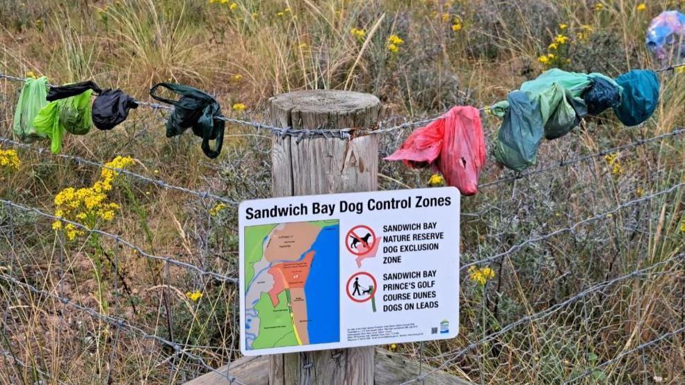 Dog poo bags on fence at Pegwell