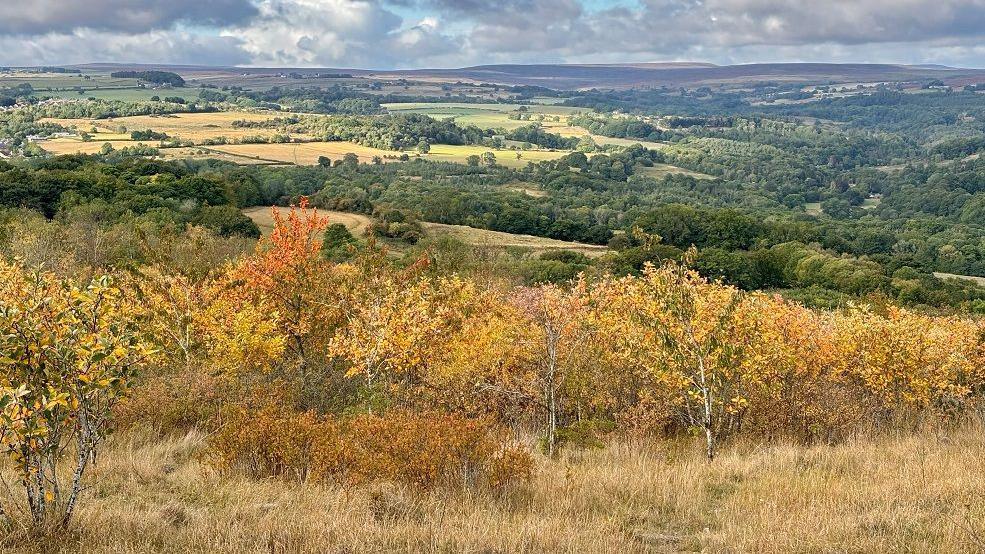 The valley is covered in fields. The field in the foreground features small trees where the leaves have turned orange, yellow and brown.