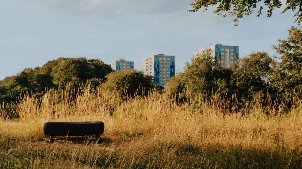 A bench is sat on the left of the image in long grass. In the background are rows of trees and you can see tower blocks, which are blue, above the greenery. 