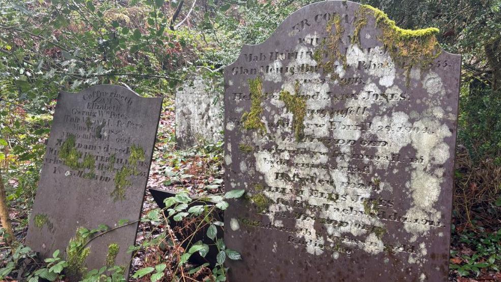 Two gravestones surrounded by brambles and covered in moss that are hard to read