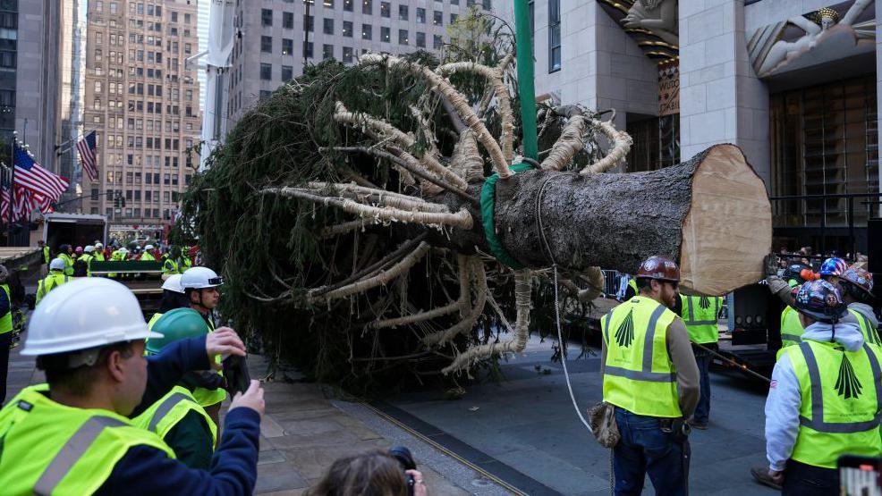 A crane lifts the tree off the truck and holds it horizontally a few feet off the ground.