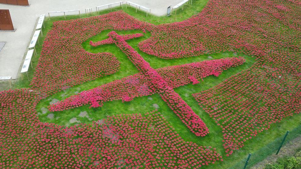 Hundreds of red ceramic poppies are stuck into the grass on spikes. They're arranged into the shape of a Lancaster Bomber.