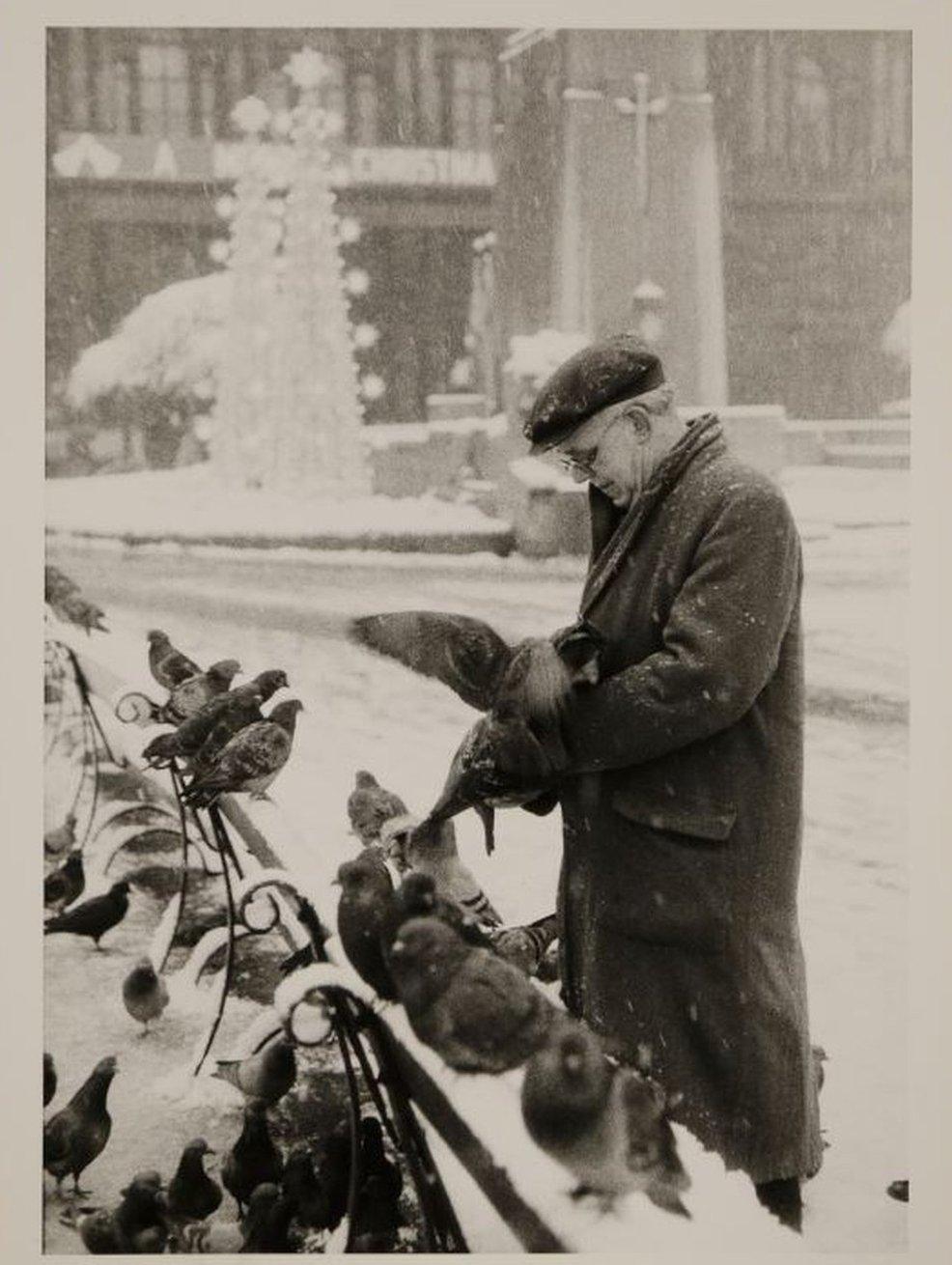 Pigeons at George Square, 1964