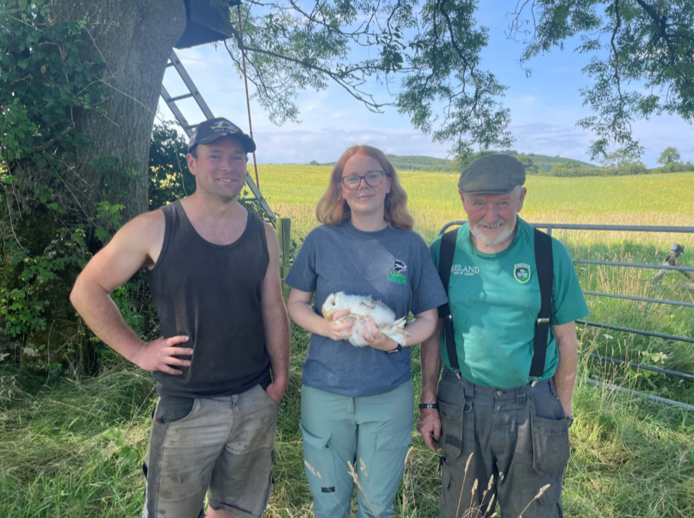 Adam and Jack Kelly, who, alongside Katy Bell from Ulster Wildlife, are carefully ringing (under licence) this year's barn owl chick at their nature-friendly farm in Ballyalton, Co. Down.