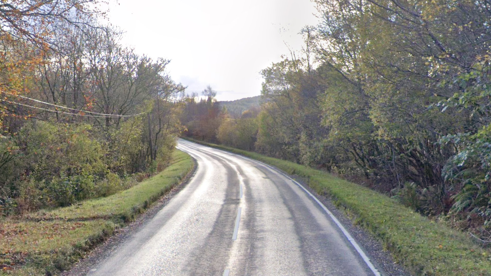 A grey tarmac road surrounded by grass verges on either side and lots of trees.