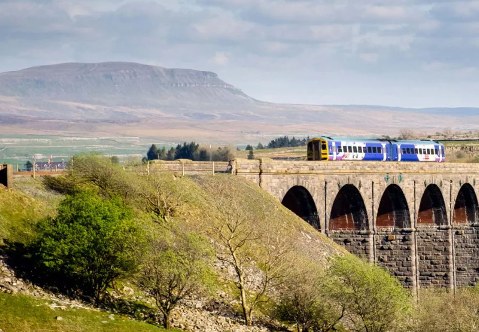 Train crossing viaduct with mountain in background