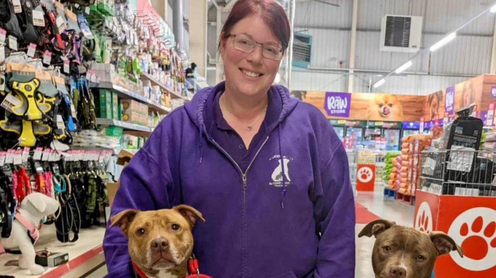 A woman smiles in a pet shop with two brown terrier dogs beside her.
