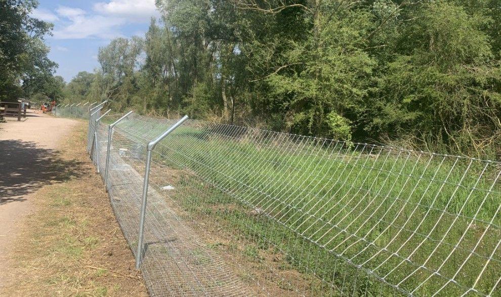 Fencing around a beaver enclosure