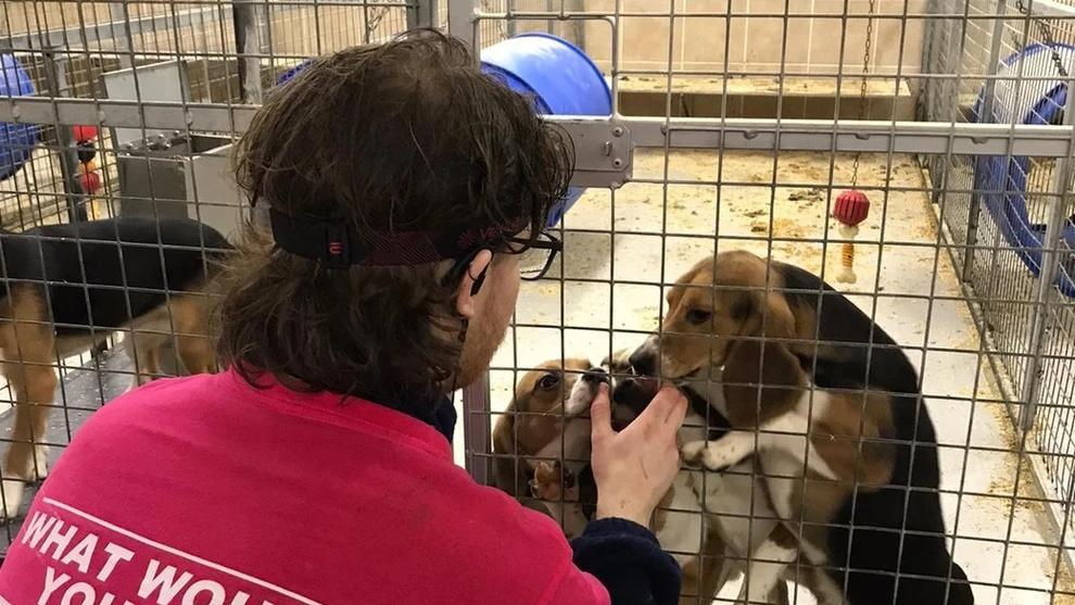 Protestor with dogs