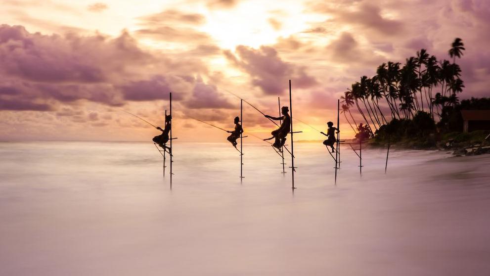 Group of men fishing with palm trees in the background