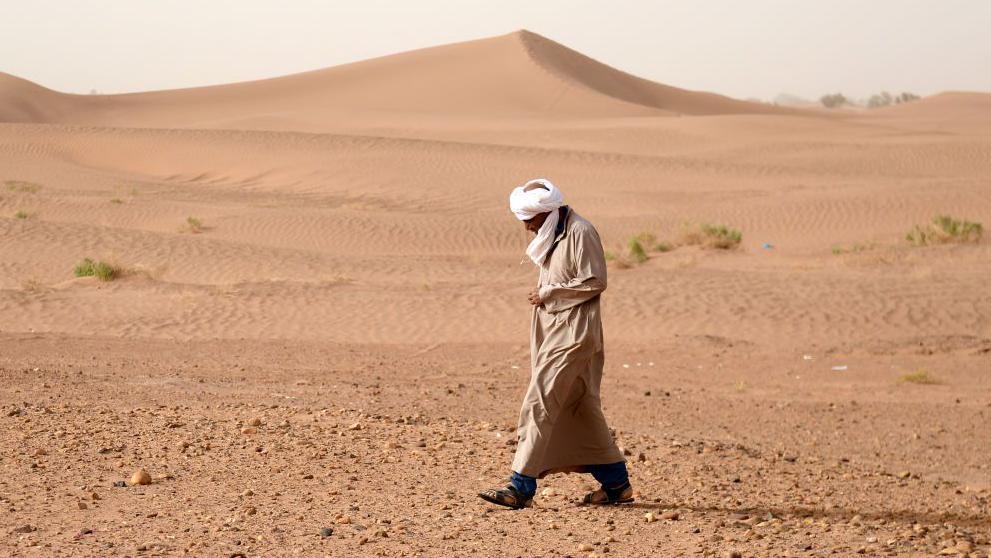 A meteorite hunter walks across a desert landscape looking down as he searches for rocks. The ground is barren and a sand dune can be seen in the background.