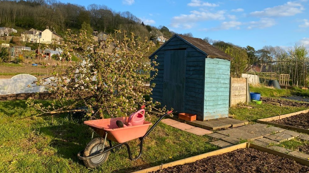 Starkholmes allotment