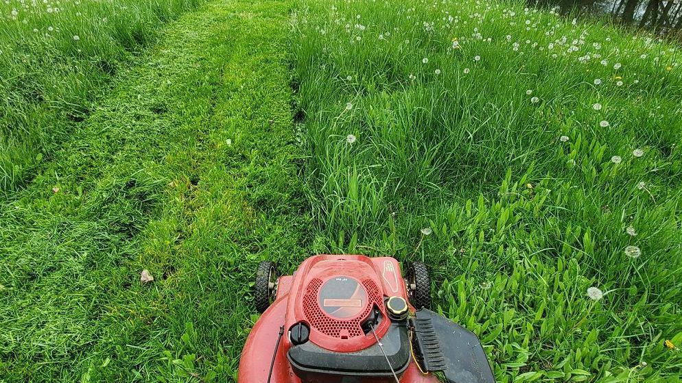 Grass being mowed