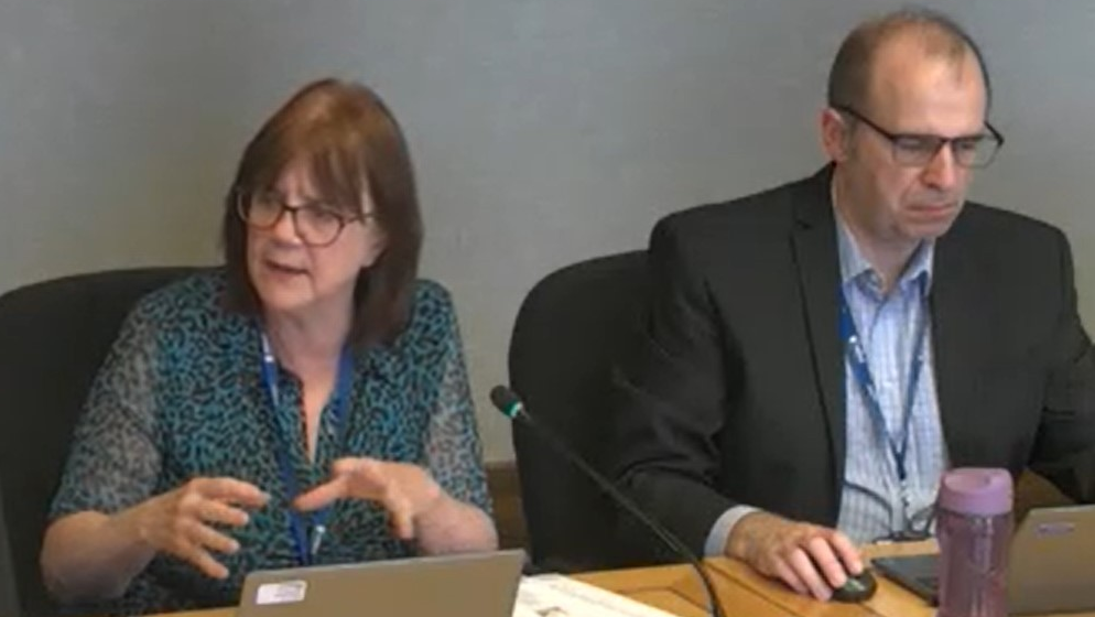 Beate Wagner is wearing a patterned top and has shoulder-length, brown hair. She is in a meeting room with a laptop on her desk as she addresses people and has her hands in an expressive motion