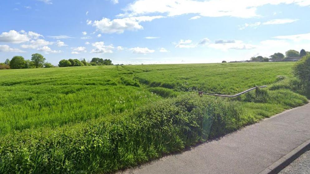 Green farmland at the side of a road with trees in the distance