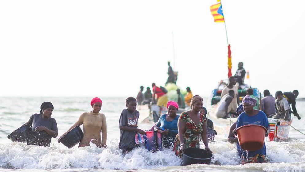 Women holding plastic buckets stand in water on a beach facing the camera - behind them can be seen traditional Gambian fishing boats, Tanji Beach, The Gambia - 12 February 2025.