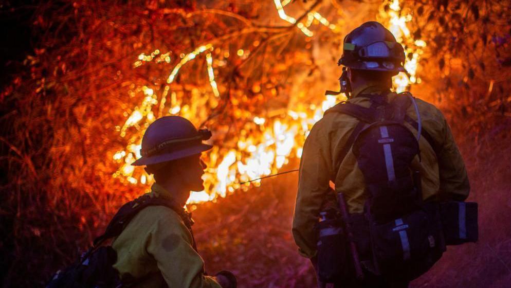 Two firefighters dressed in yellow suits and white helmets look on at a fire through a clearing.