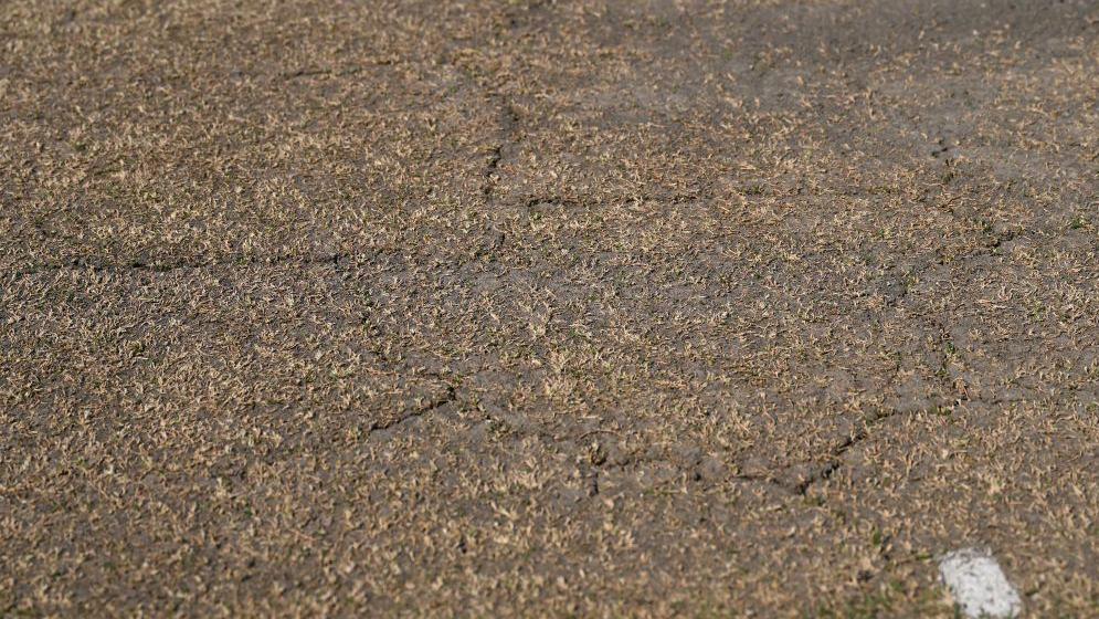 Picture of cracks on pitch