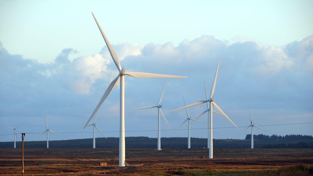 A wind farm on a brown field with white spinning turbines. The sky is cloudy and pale.