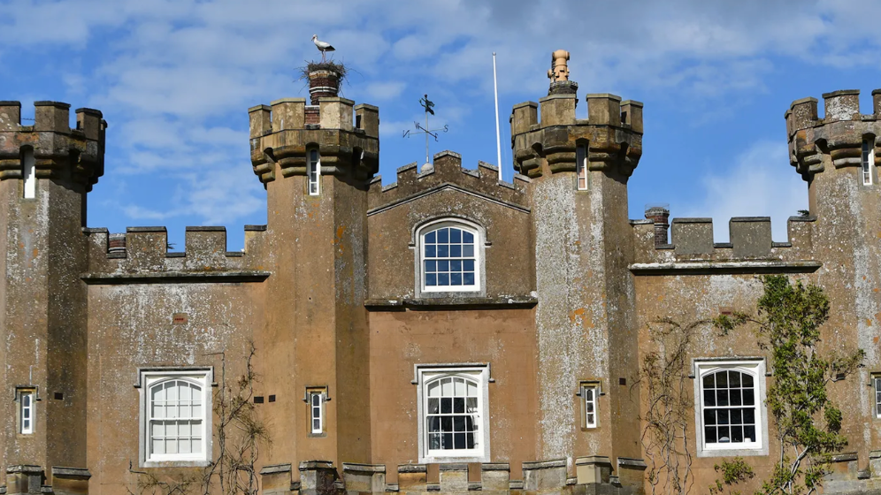 Storks nesting at Knepp Castle