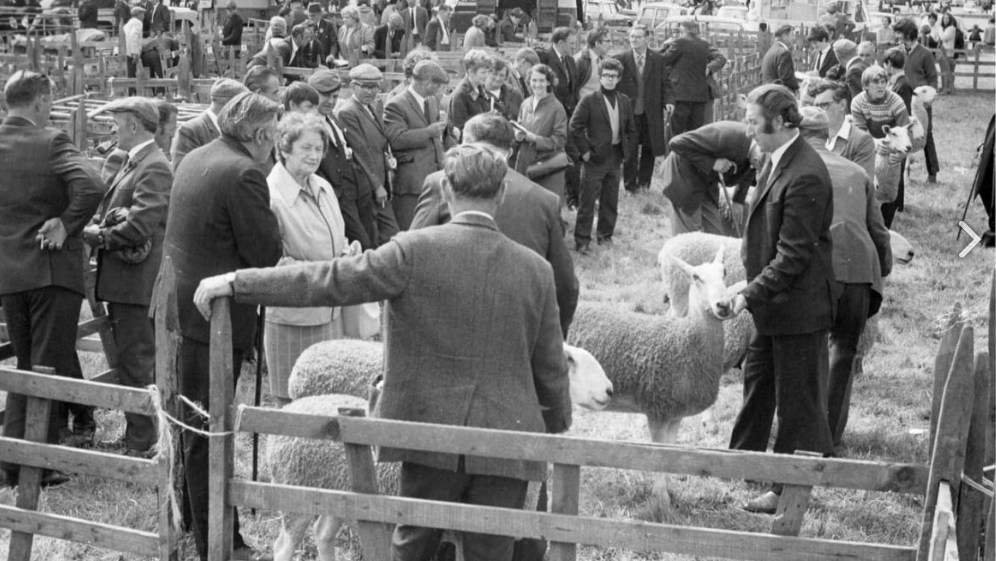 A black and white picture of men in suits showing sheep 