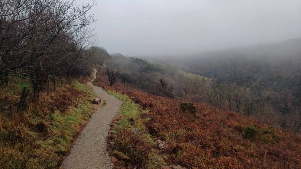 A path on the northern side of Cheddar Gorge in the Mendip Hills on a foggy day.