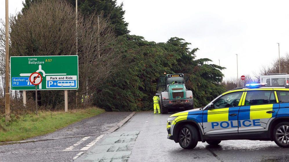 Police car and tractor on road with large fallen tree blocking path, man in hi viz visible in distance working on tree